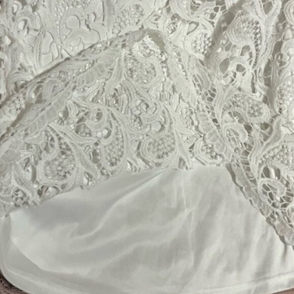 Gray + Bleu White Lace Sheath Mini Dress with Crew Neck and Short Sleeves Large - Picture 8 of 10